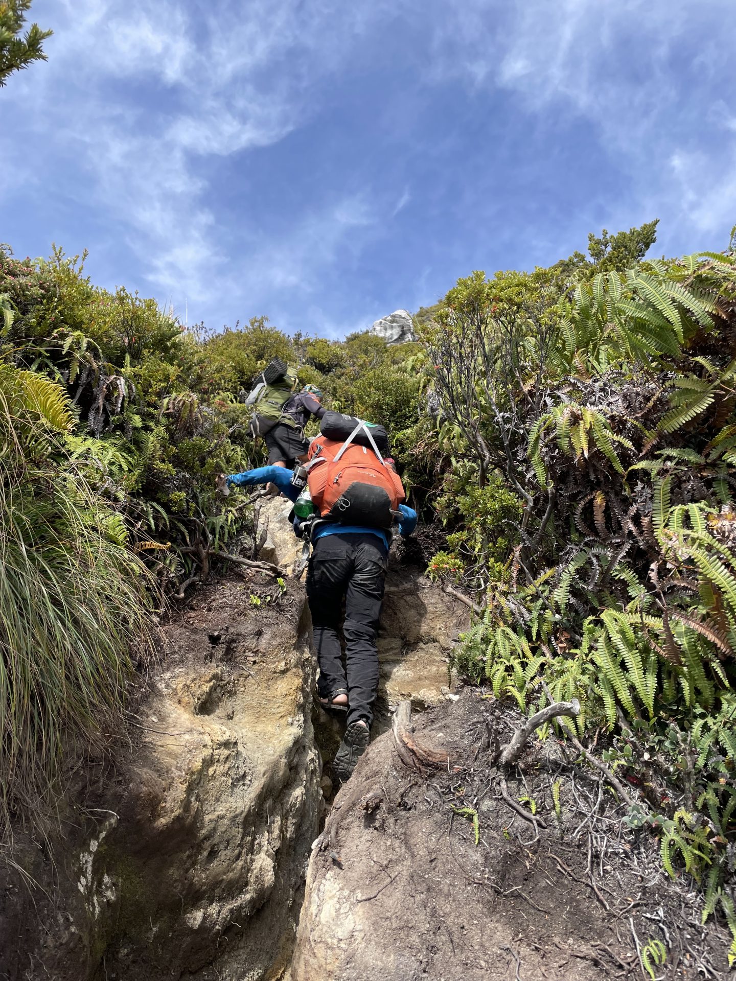 フィリピンの大自然を満喫！最高峰アポ山（2,954m）登頂 2泊3日の旅（往復送迎付き）