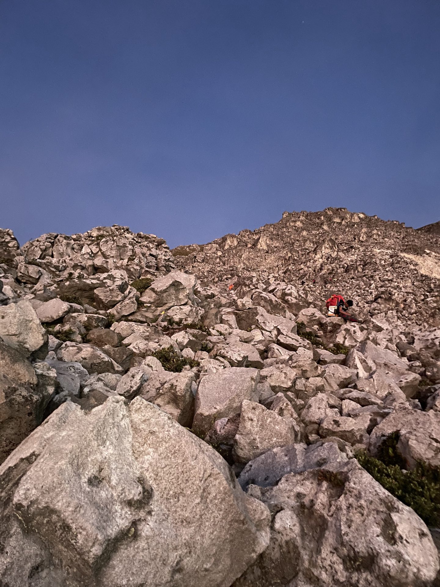 フィリピンの大自然を満喫！最高峰アポ山（2,954m）登頂 2泊3日の旅（往復送迎付き）