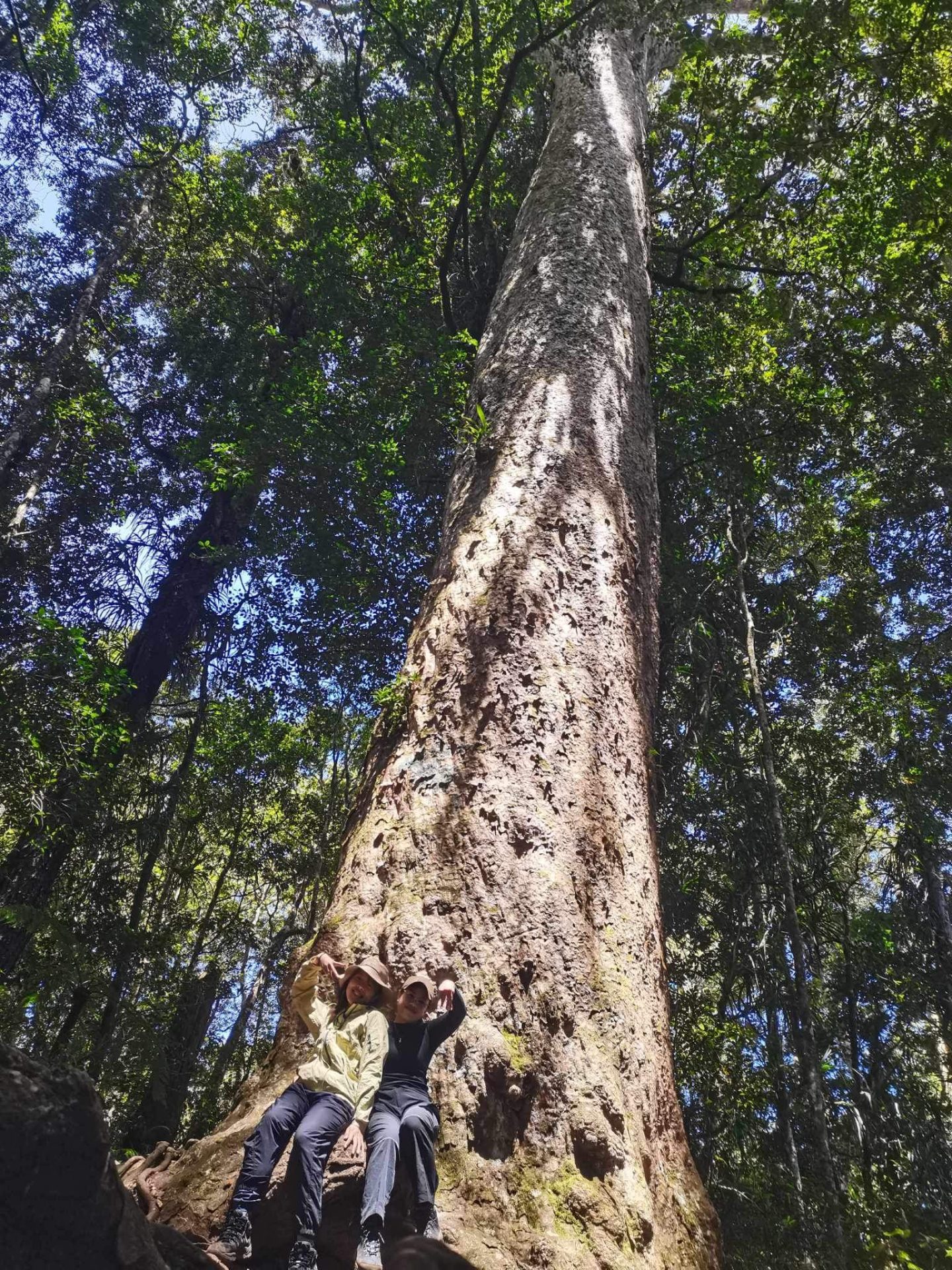 フィリピンの大自然を満喫！最高峰アポ山（2,954m）登頂 2泊3日の旅（往復送迎付き）